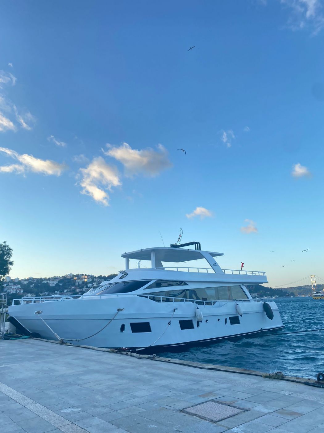 Boat 8